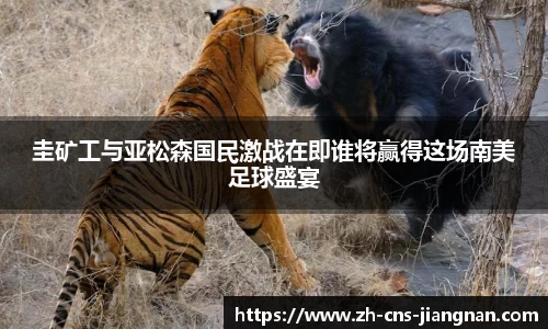 江南体育app下载